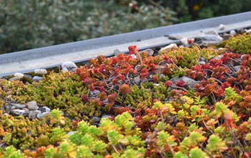 the cost of Yaxley green roof installation