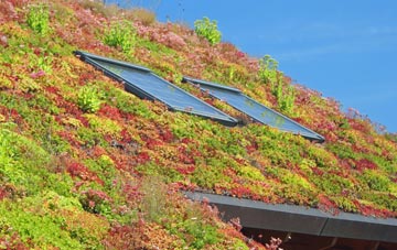 Yaxley living roof systems