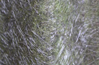 Yaxley fibreglass roof work